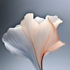 Transparent lily flower on a background with template background