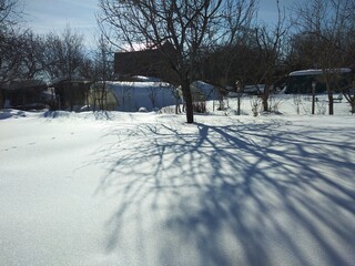 snow covered house