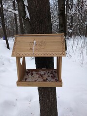 feeder in winter forest