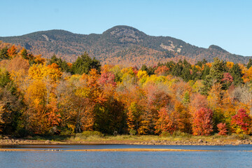 Mountains in Autumn 