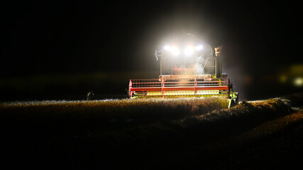 Combine harvester working harvest on the wheat field at night with headlights. 