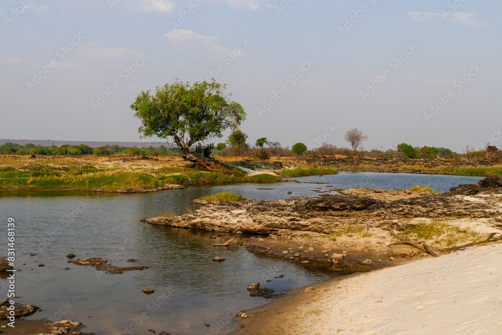 Wall mural Botswana