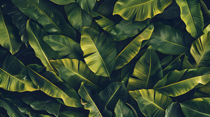 Tropical leaves texture, abstract nature background concept with large green leaf for banner design. Generated AI 
