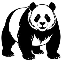 panda bear vector illustration art