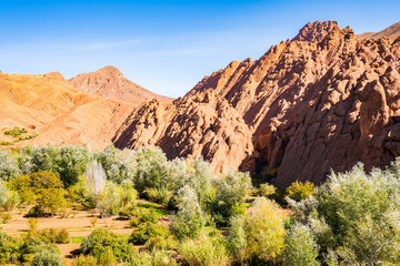 Green trees and view of Monkey Fingers, rocks formation in mountains of Dades valley, Morocco, North Africa