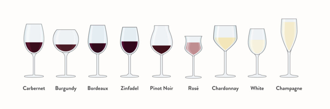 Colorful Wine Glass Guide - A colorful guide with illustrations of various wine glasses filled with wine, showing the appropriate glass shapes for different wine types.