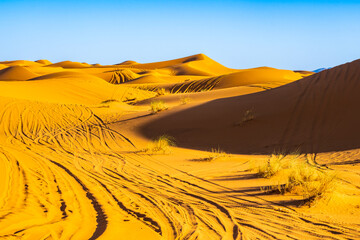 Sand dunes at Erg Chebbi Sahara desert at sunset near Merzouga town, Morocco, North Africa