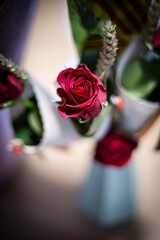 Red roses flower bouquet with smooth red petals close up still