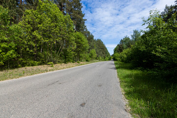 a country road of good quality in spring in a deciduous forest