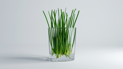 Chive sprigs, thin and green, in a small glass.