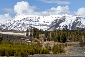 snowy mountains in Yellowstone National Park
