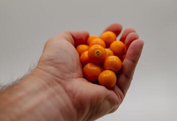 Mans left hand holding orange golden berries 