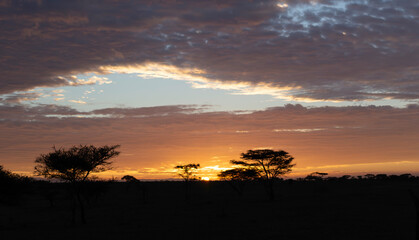 Sunrise on the Serengetti Plains in Tanzania