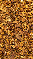 dangerous to health tobacco leaves for smoking in a cigarette