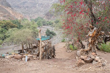 Banquale Village in Djibouti, simple shelter huts in Banquale Village, the Mountains of Djibouti, East Africa, Horn of Africa