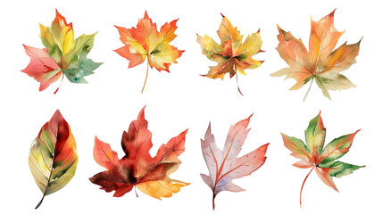 Fototapeta premium Watercolor set of autumn leaves, hand painted illustration on transparent background