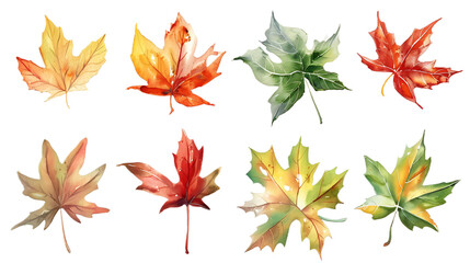 Watercolor set of autumn leaves, hand painted illustration on transparent background
