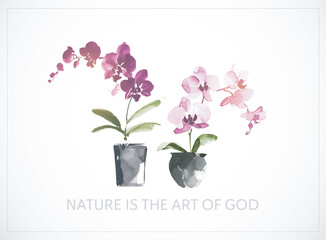 Ink painting of two phalaenopsis orchids in black flower pots. Traditional Japanese ink wash painting sumi-e. Minimalist floral illustration