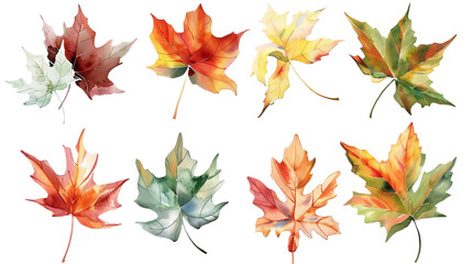 Fototapeta premium Watercolor set of autumn leaves, hand painted illustration on transparent background