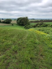 Field of grass in May, North Yorkshire, England, UK
