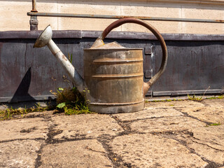 old-style metal watering can for watering in the garden, standing in the sun, photo straight