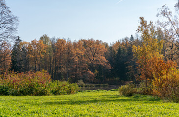 Fall landscape, autumn trees, colored leaves, meadow, autumn park.