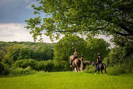 Three girls riding their Welsh cobs through the fields, Image shows the three girls on section D, C and A stallions hacking out on a grass field in Surrey on a warm evening