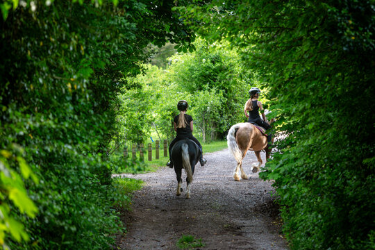 Two girls riding a horse down a quiet country road, Image shows two young girls hacking out their section C Welsh cob stallion and Section A stallion down a quiet country lane on a warm spring day