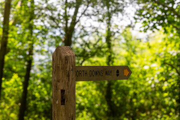 Boxhill footpath directional sign in  the woodland, Image shows a wooden directional sign along a public footpath near the top of Box hill a popular location for it's views on the outskirts of London