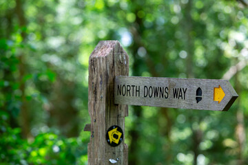 Boxhill footpath directional sign in  the woodland, Image shows a wooden directional sign along a public footpath near the top of Box hill a popular location for it's views on the outskirts of London