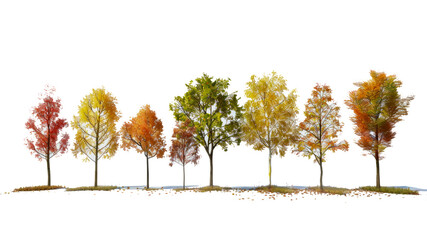 Different species of trees detailed photorealistic autumn, turnaround page white background --ar 16:9 Job ID: d4444631-0a4c-4672-97b8-be76dcabf0c8