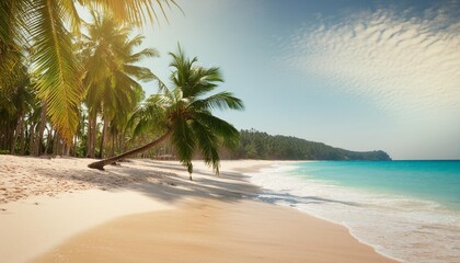 paradise tropical beach sea on a tropical