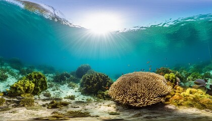 underwater scene tropical seabed with reef and sunshine