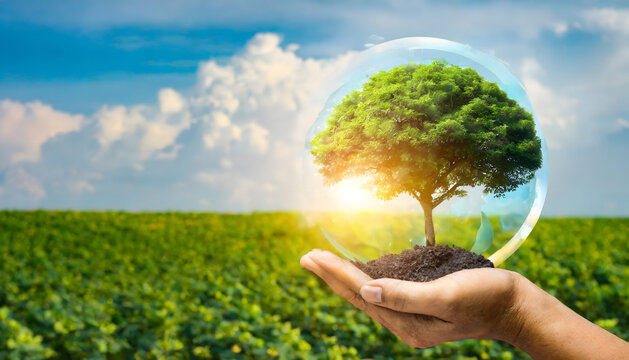 Sustainability and Eco-Friendly; sustainable development goals with environment