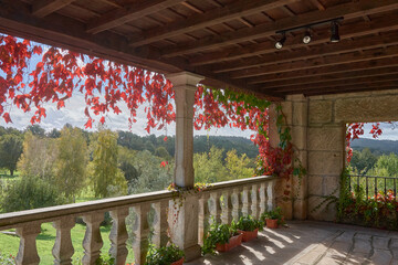 Fototapete bei efototapeten.de bestellen   