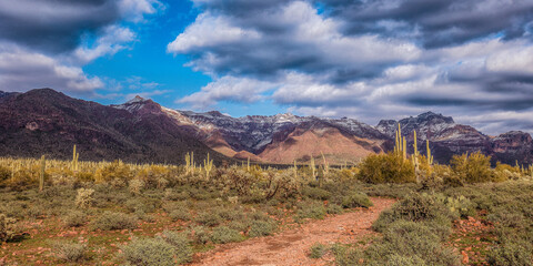 Arizona landscape cactus  saguaro mountains travel trails