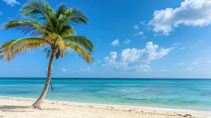 tropical paradise scene with a lone palm tree on a serene Caribbean beach