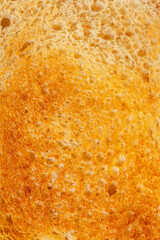 Slice of golden toasted bread close-up
