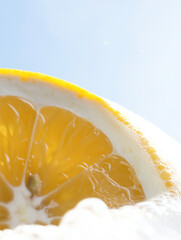 Macro of lemon and ice