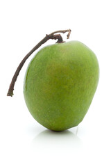 Close-up of a fresh green Organic Indian Mango (Mangifera indica) isolated on a white background. Front view.
