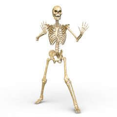 骸骨　3DCGレンダリング