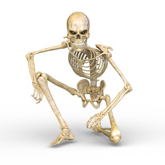 骸骨　3DCGレンダリング