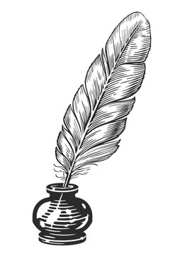 recommend clip art: Feather quill pen in inkwell....Feather quill pen in inkwell. Vintage old pen in ink bottle, in inkpot. Hand drawn sketch vector drawing