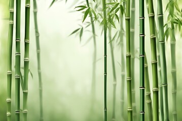 Naklejka premium Tranquil bamboo forest background, green bamboo stems, zen nature wallpaper, minimalist design, serene bamboo grove, space for text