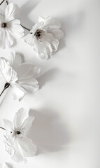 Obraz premium Flower with empty card, on white background, suitable for designs with text.