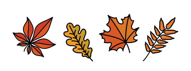 set of autumn leaves, orange and yellow oak, maple, chestnut, rowan leaf, set of fall vector decorative elements