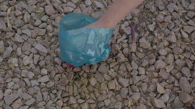 This video shows a close up view of a hand picking up dog poop with a plastic bag. 