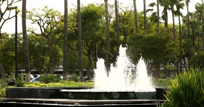 Palm lined view of a fountain in the civic center of downtown Paramount, California, USA.