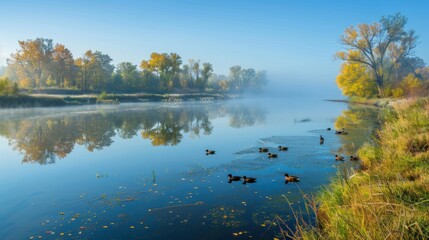 Morning landscape in early autumn on the Mirror river with ducks