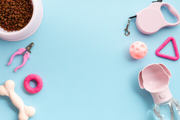 Various pet supplies on a pastel blue background. Dry food in a bowl, grooming nail clippers, playful rubber toys, handy water dispenser bottle. Flat lay, top view.